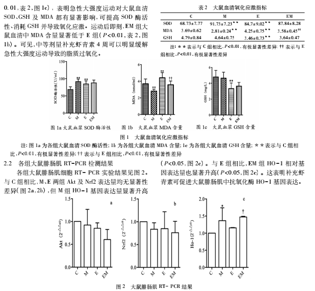 艾詩特蝦青素