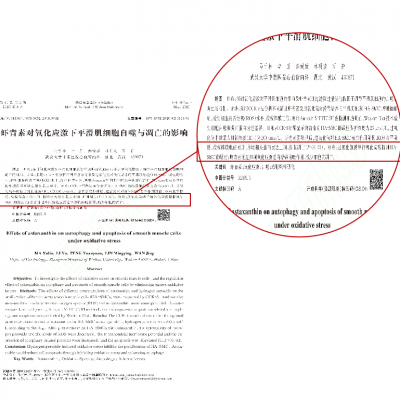 蝦青素對氧化應激下平滑肌細胞自噬與凋亡的影響