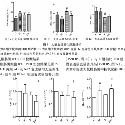 蝦青素補充與急性大強度運動對機體Nrf2抗氧化通路影響的研究